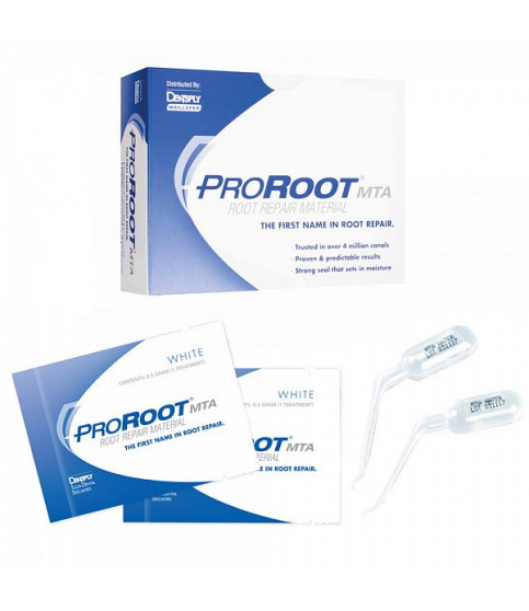 PROROOT MTA, 1шт., 1 г